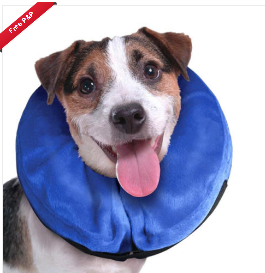 dog cone walmart canada