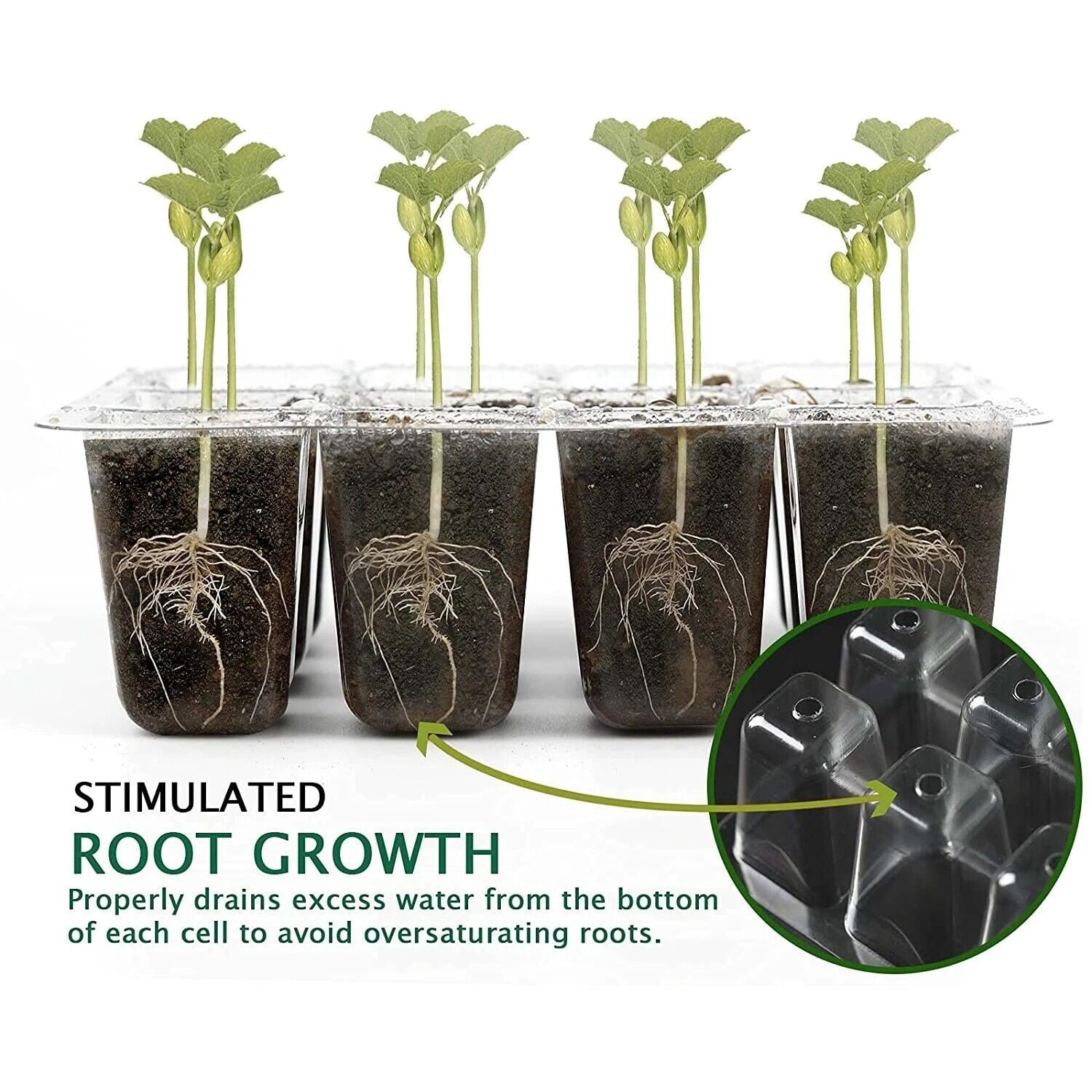 COSTYLE 10 Pack Seed Starter Tray Kits, Plant Germination Trays with Humidity Dome and Base (12-Cell Per Tray)