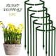 thumbnail image 1 of Jaulas De Soporte Para Plantas Trepadoras, Tutores Arqueados Para Bricolaje, Soporte Para Macetas De Tomates, Vides Y Hortalizas, Ayuda Para El Cultivo De Plantas, 1 of 9