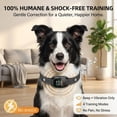 thumbnail image 2 of Anti Bark Vibration Collar Device – Smart AI Automatic Barking Training Collar for Dogs 6-150lbs, Puppy Dog Beep No Shock, Rechargeable IP67 Waterproof, Adjustable 8 Sensitivity(Q), 2 of 7