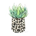 thumbnail image 3 of Tava Studios 15x15 Black Modern Framed Museum Art Print Titled - Spotted Agave, 3 of 5