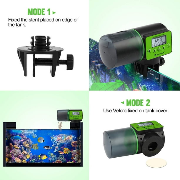 Automatic turtle food dispenser 2025