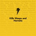 thumbnail image 3 of Raid Max Wasp and Hornet Insect Killer Spray, Kills Bugs on Contact, 500g, 3 of 9