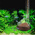 thumbnail image 4 of Miangastore Transparent Plastic Shrimp Feeding Tube for Fish Tank Use Adjustable Length Multifunctional Feeder 1 Set, 4 of 8