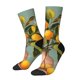 thumbnail image 1 of Fotbe Retro Warm Lemon Flower Calcetas Largas con Estampado para Hombre y Mujer – Calcetas de Compresión Transpirables y Elásticas, Viajar y Uso Diario Talla 5-11, 1 of 6