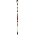 thumbnail image 4 of Ed Hardy Men's Devil In Flames White Belt With Metal Studs (36, White), 4 of 7