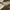 Khaki, variant on eileial Mens Cargo Pants Big and Tall Work Pants Outdoor Combat Trousers Gym Straight Leg Cargo Pants Multi Pockets,Gray S