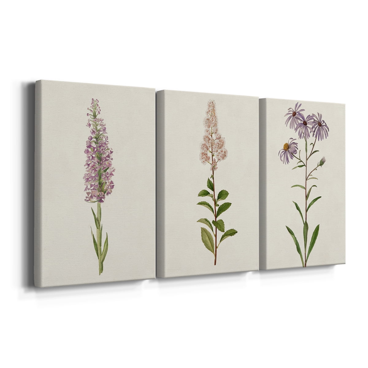 Mauve Garden Flowers I Premium Gallery Wrapped Canvas - Ready to Hang - 18 x 27 Each