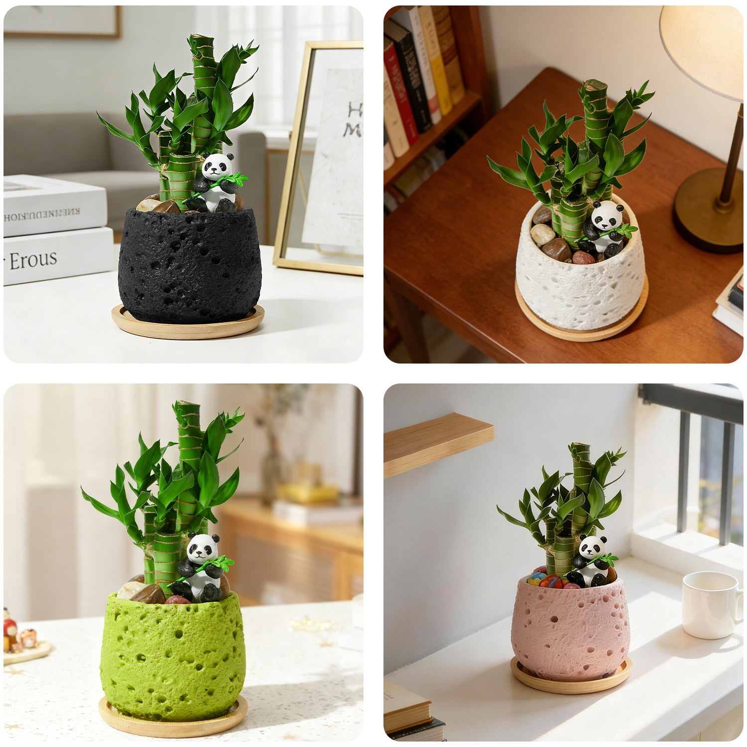 Cute Panda Lucky Bamboo Plant – 5 Stalk Feng Shui Indoor Tabletop Plant in Volcanic Rock Pot, Office & Home Decor（Black）