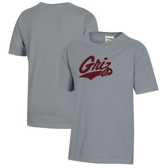 Youth  Gray Montana Grizzlies Logo Comfort Wash T-Shirt