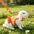 thumbnail image 6 of Tuvgenk Small Pet Harness and Leash Set Vest Style Breathable Mesh Rabbit Chest Strap for Guinea Pig Outdoor Walk S Orange, 6 of 7