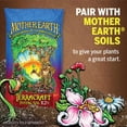 thumbnail image 4 of Mother Earth 7004434 4.4 lbs Seasons Choice Tomato & Vegetable Mix 4-5-6 Hydroponic Plant Nutrients, 4 of 9