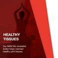 thumbnail image 5 of Protocol For Life Balance - MSM Bio-Available Sulfur - Improved Absorption Formula that Promotes Healthy Cartilage and Connective Tissue - 180 Veg Capsules, 5 of 8