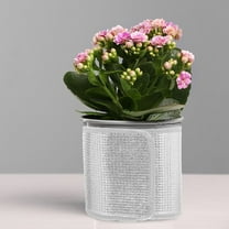 MLINS 1 Set Plants Pot Covers Flower Pot Covers Planter Cover Freeze Flower Pot Insulation Thermal Insulation Wrap For Flower Pots