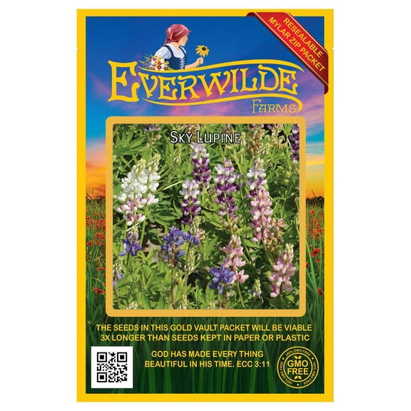 Everwilde Farms - 150 Sky Lupine Native Wildflower Seeds - Gold Vault Jumbo Bulk Seed Packet
