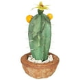 thumbnail image 4 of Northlight 12" Flowering Cactus Artificial Potted Plant - Green/Brown, 4 of 8