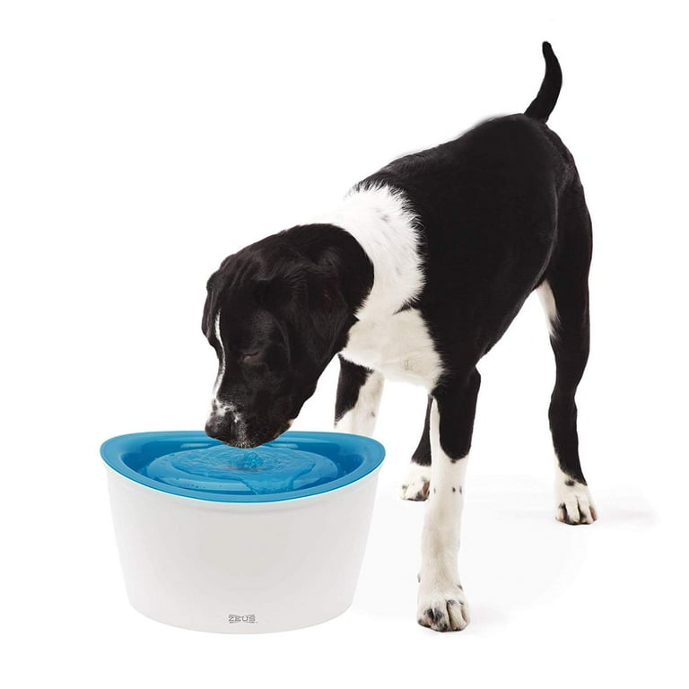 Zeus H2EAU Drinking Water Fountain for Dogs 6 Liter 200 Ounce