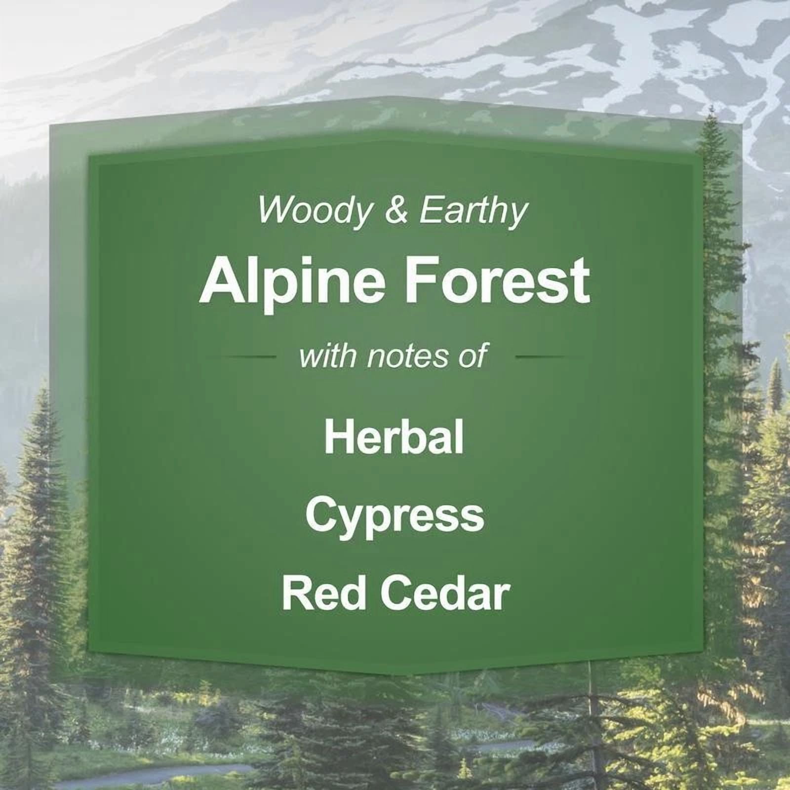 Alpine Forest Scented Candle Clean Burn Fresh Aroma Decorative Jar 20Oz New