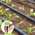 thumbnail image 4 of UNTIMATY 166pcs Hydroponic Pods Kit Grow Anything with Grow Sponges, Baskets, Domes, Labels, Compatible with All Hydroponics Brands, 4 of 8