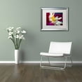thumbnail image 3 of Trademark Fine Art "A Different Kind of Dahlia" Canvas Art by Kurt Shaffer, White Matte, Silver Frame, 3 of 4