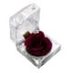 thumbnail image 1 of 1 pieza de flor preservada, rosa de la eternidad, rosa nunca marchita, regalo para el cumpleaños y aniversario del día de San Valentín con caja de regalo con cajón, 1 of 4