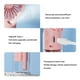 thumbnail image 4 of Inteprter Ventilador portátil ABS PP, 4 engranajes de repuesto para hombres y mujeres, humidificador de mano con de Color sólido de Electrodomésticos Blanco, 4 of 6