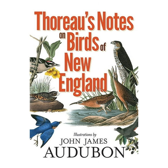 Thoreau's Notes on Birds of New England (Paperback)