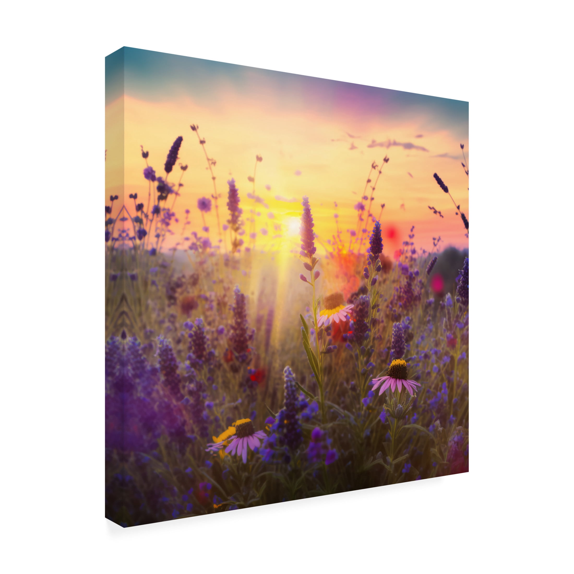 Canvas Wall Art - Ray Heere 'Flowering Fields 3' Wall Art for Living Room, Bedroom, or Office Décor by Trademark Fine Art - 24 x 24 Inches