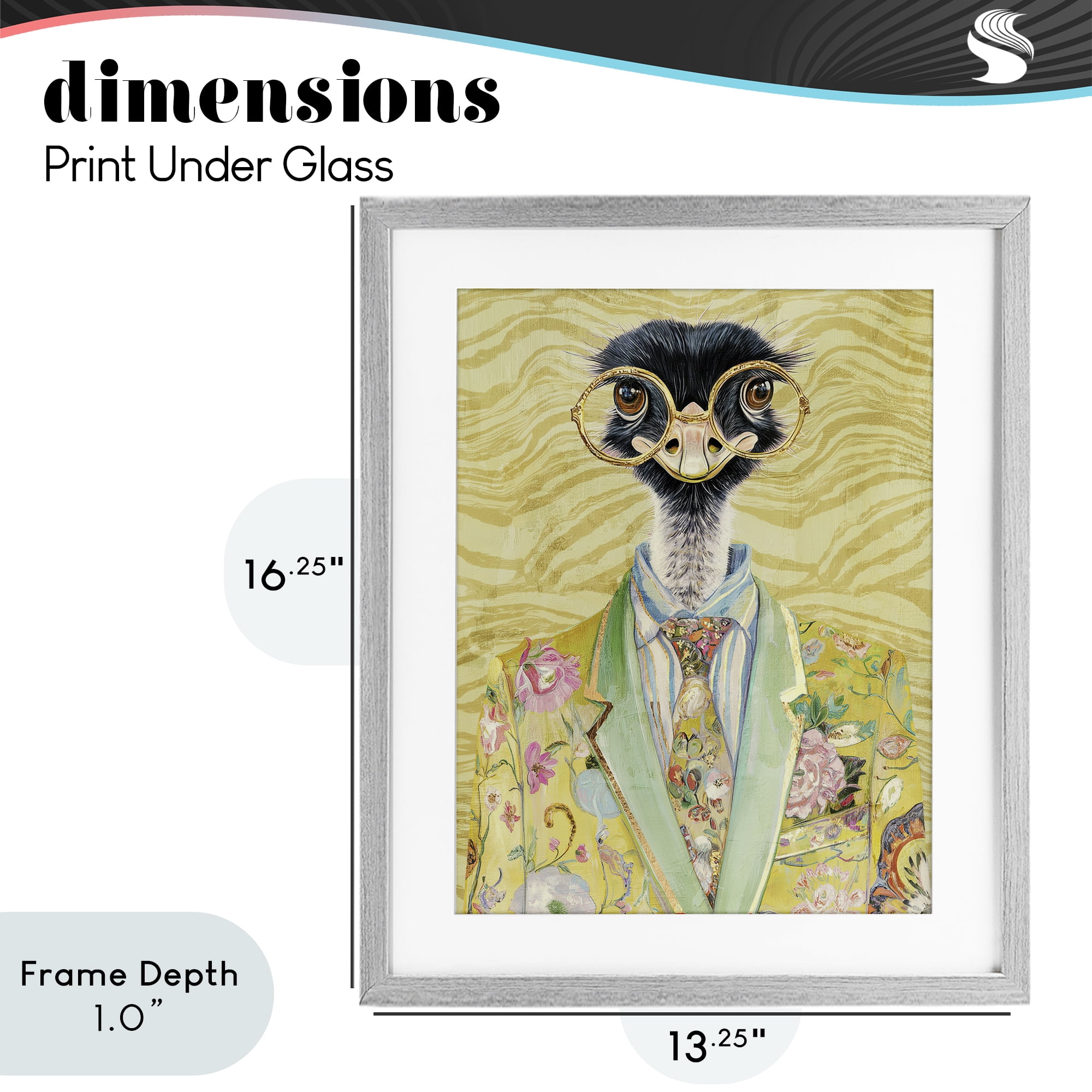 Stupell Industries Dandy Ostrich Portrait Gray Framed Print Under Glass, design by Svetlana Aleynikova