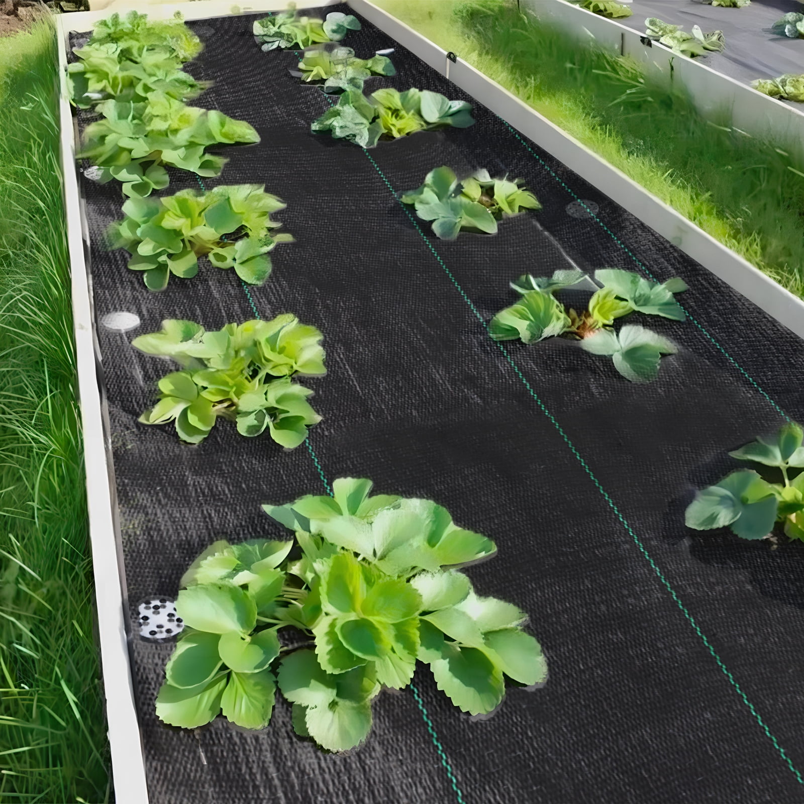 Landscape Fabric 4ft x180ft Weed Barrier Fabric Heavy Duty, Garden Fabric Weed Barrier, Woven Geotextile Fabric Under Gravel, Garden Tarp to Prevent Weeds, Black Mulch for Landscaping Fabric