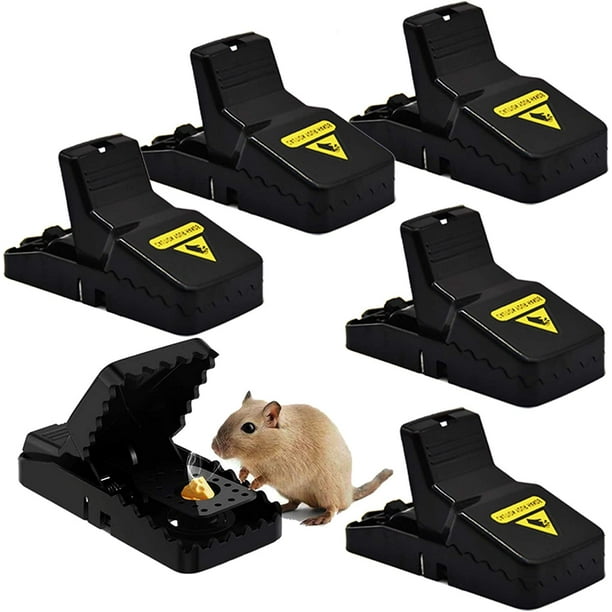 Pièges à colle souris & rats (2 pcs)