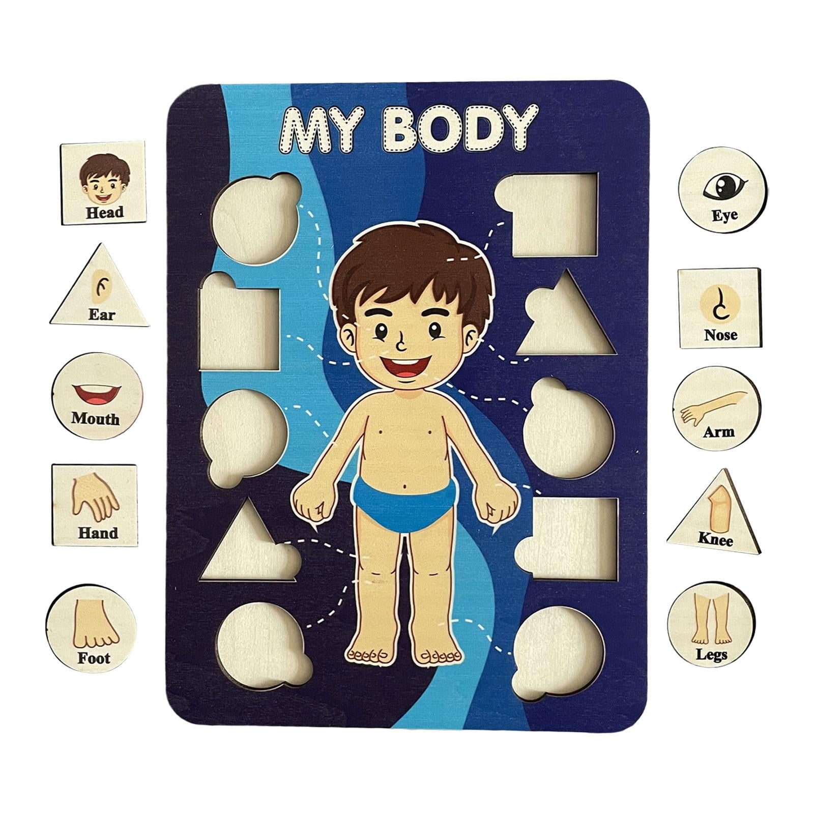 Body Parts Clipart For Kids