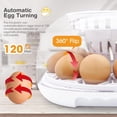 thumbnail image 4 of Egg Incubator for Hatching Eggs, 12 Eggs Incubator with Automatic Egg Turning and Humidity Temperature Control, 4 of 9