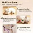 thumbnail image 6 of HonestMatter Cat Toys for Indoor Cats, Interactive Chew Rope with Silvervine Ball, Safe Teeth Cleaning Kitten Plaything for All Breeds, Orange, 6 of 9