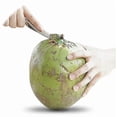 thumbnail image 4 of Coconut Opener Tool Set Food Grade Stain Less Steel Coco Nut Bottle Opener, 4 of 5
