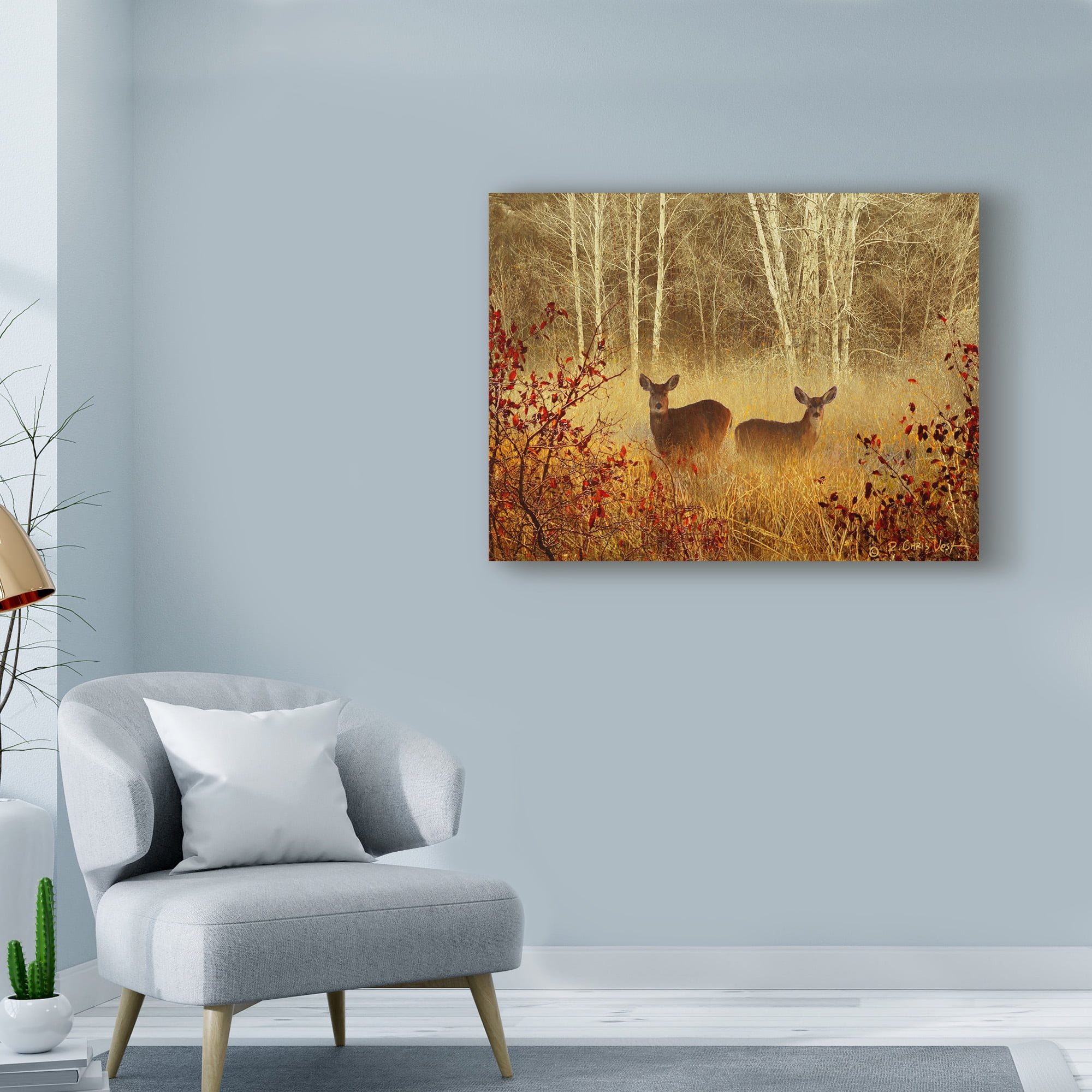 Trademark Fine Art 'Foggy Deer' Canvas Art by Chris Vest