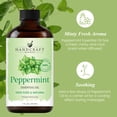thumbnail image 2 of Handcraft Blends Peppermint Essential Oil - 100% Pure and Natural - Premium Grade Essential Oil for Diffuser and Aromatherapy - 1 Fl Oz, 2 of 7
