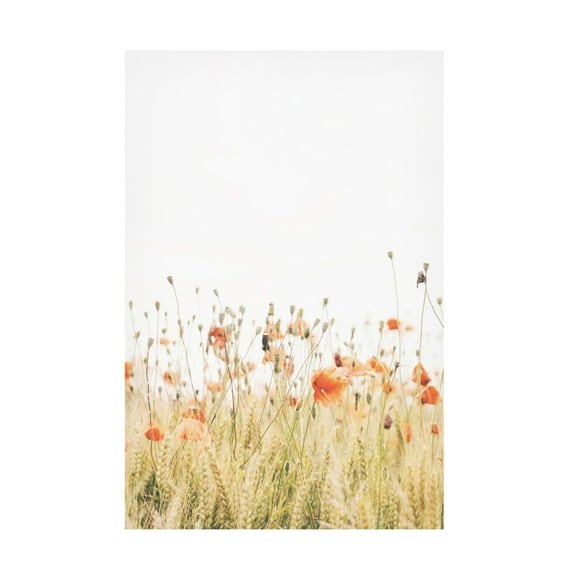 Canvas Wall Art - Krista Broadway 'Poppy 1' Wall Art for Living Room, Bedroom, or Office Décor by Trademark Fine Art - 12 x 19 Inches