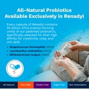 Renadyl Probiotic Kidney Supplement with 45 Billion CFUs, 60 Capsules