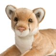 thumbnail image 2 of Peluche de peluche Douglas Kelso Mountain Lion 50 cm, 2 of 5