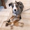 thumbnail image 4 of Peluche de Animales del Bosque Ethical Pets 14 Pulgadas para Perro, 4 of 7