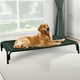 thumbnail image 1 of Cama Elevada para Perros Czpalo para Perros Grandes hasta 40 kg con Malla, 1 of 6