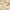 Ivory/Green, variant on SAFAVIEH Chelsea Lara Floral Wool Area Rug, Ivory/Green, 1'8" x 2'6"