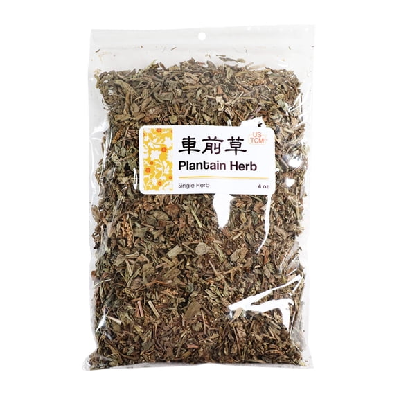 High Quality Plantain Herb Che Qian Cao