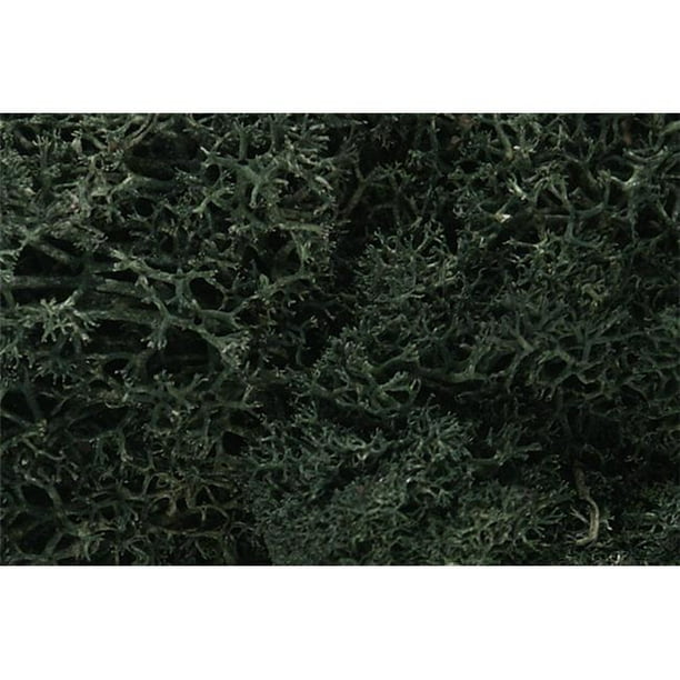 Woodland Scenics WS 164 Lichen - Vert Foncé
