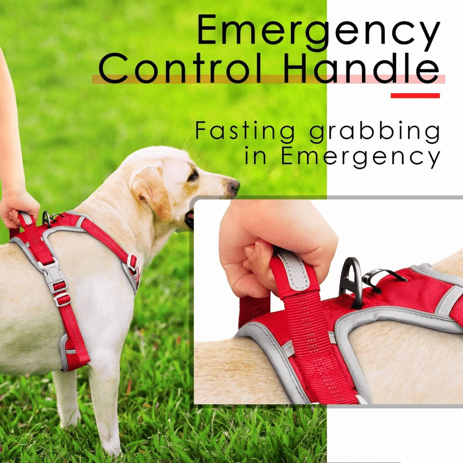 ThinkPet No Pull Harness Set Breathable Sport Harness with Handle - Reflective Padded Dog Safety Vest with Reflective Neon Dog Leash