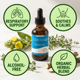 thumbnail image 5 of Herb Lore Calm Cough Herbal Tincture Alcohol Free Respiratory and Lung Support Supplement with Yerba Santa & Mullein - 2 fl oz, 5 of 7