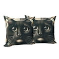 thumbnail image 4 of Ambesonne Cat Throw Pillow Cover Pack of 2, Closeup Circle of a Black Kitty, 2 Pcs-16"x16", Charcoal Grey, 4 of 5