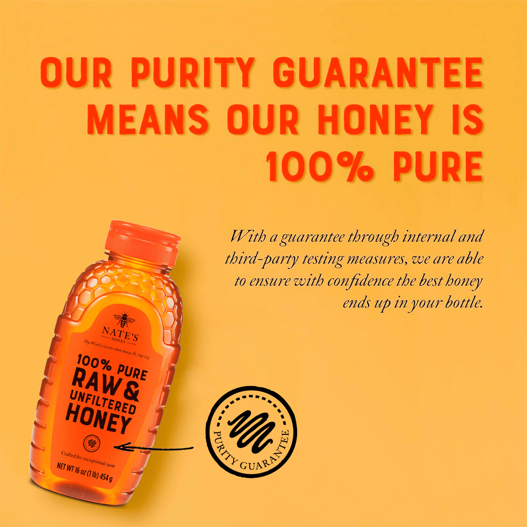 6 pack) (6 pack) Nate's Honey: 100% Pure, Raw and Unfiltered Honey