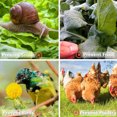 thumbnail image 2 of Campanas Jardín para Plantas Protector Plántulas Cubierta Campana Planta Reutilizable (5 Piezas), 2 of 4